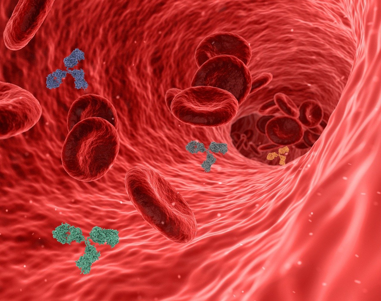 Types of Diabetes Mellitus